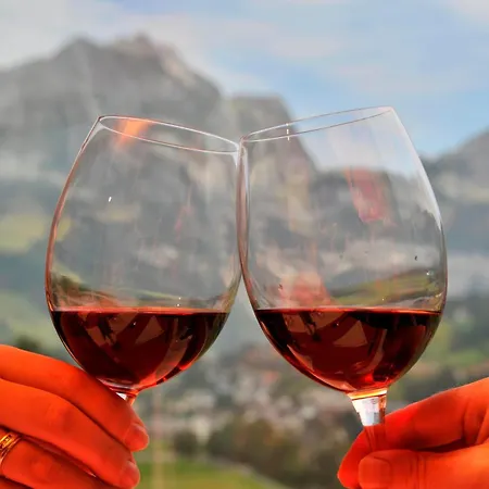 Restaurant Baenklialp Hotel 3*