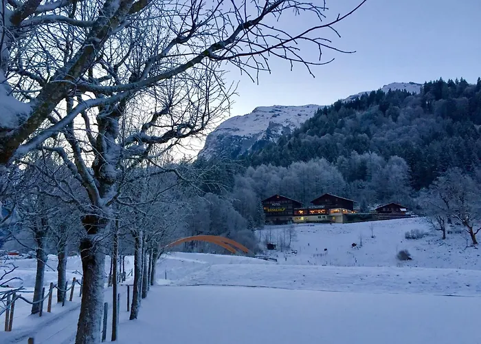 Restaurant Baenklialp 3*