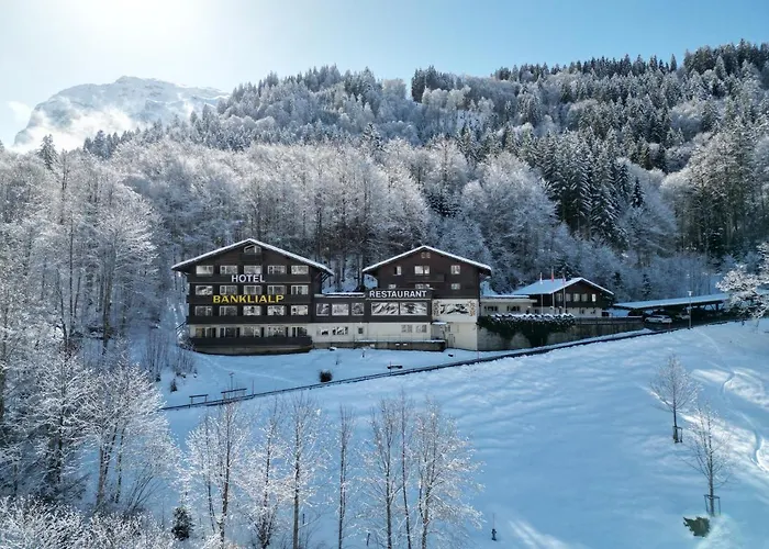 Restaurant Baenklialp Hotel 3*